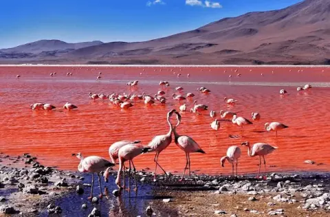 3D2N ATACAMA, UYUNI, ATACAMA PRIVADO