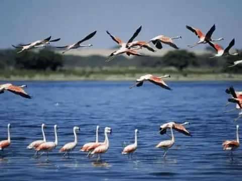 Tour 2D1N desde el aeropuerto de Lima a Paracas, Ica, Huacachina + Líneas de Nazca